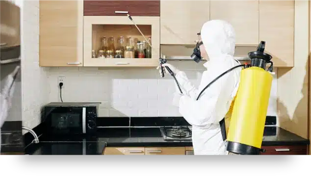 Medidas de prevencion y mantenimiento de control de plagas